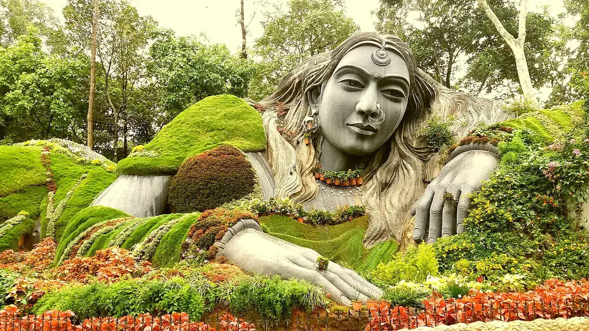 The grass sculpture at Siri Coffee